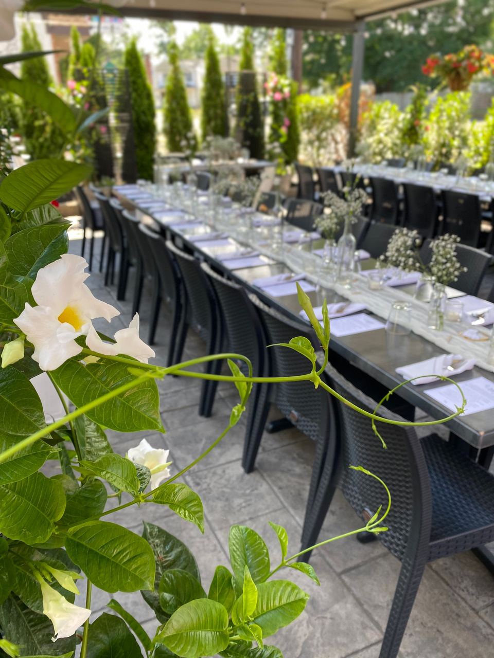 A long table laid for a party